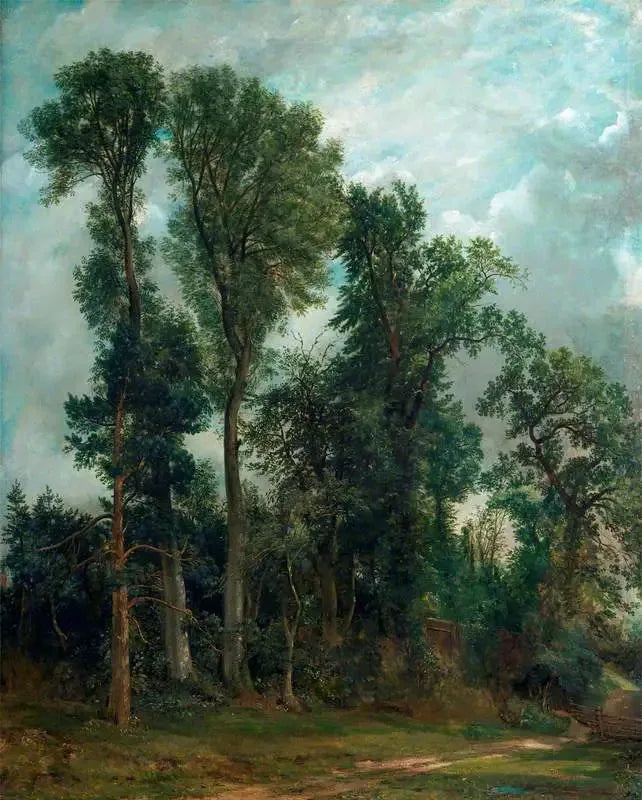 Hampstead Bäume: Der Weg zur Kirche - John Constable