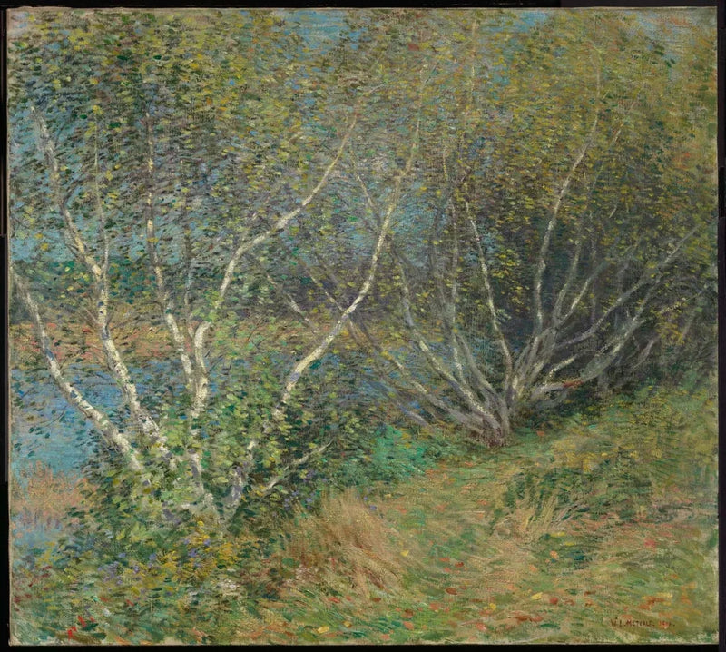 Die Birken - Willard Metcalf
