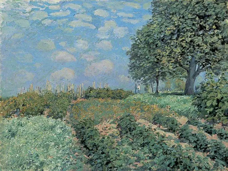 Die Felder - Alfred Sisley