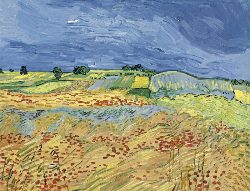 Die Felder - Vincent van Gogh