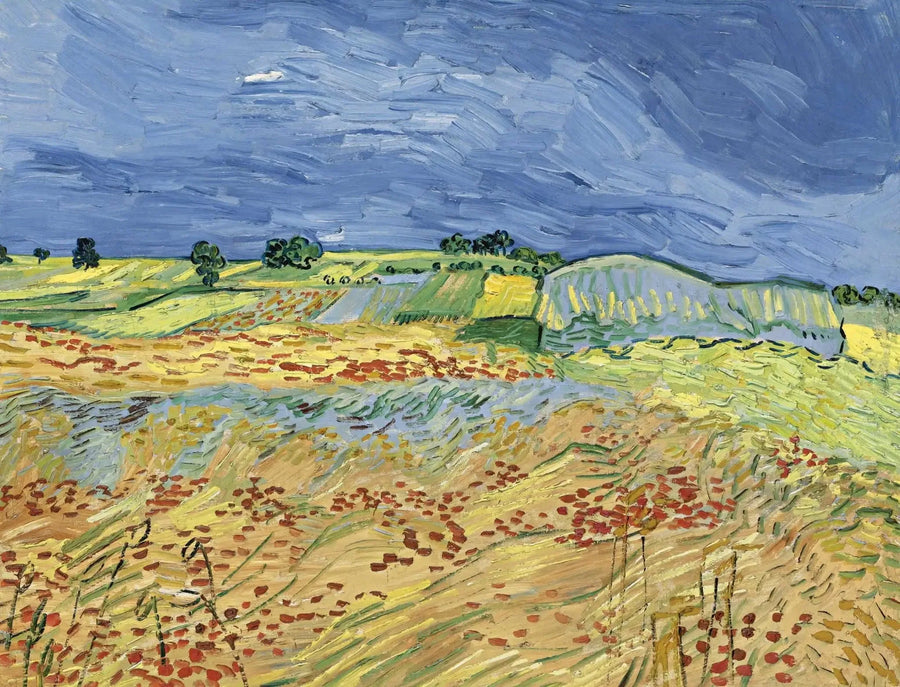 Die Felder - Vincent van Gogh