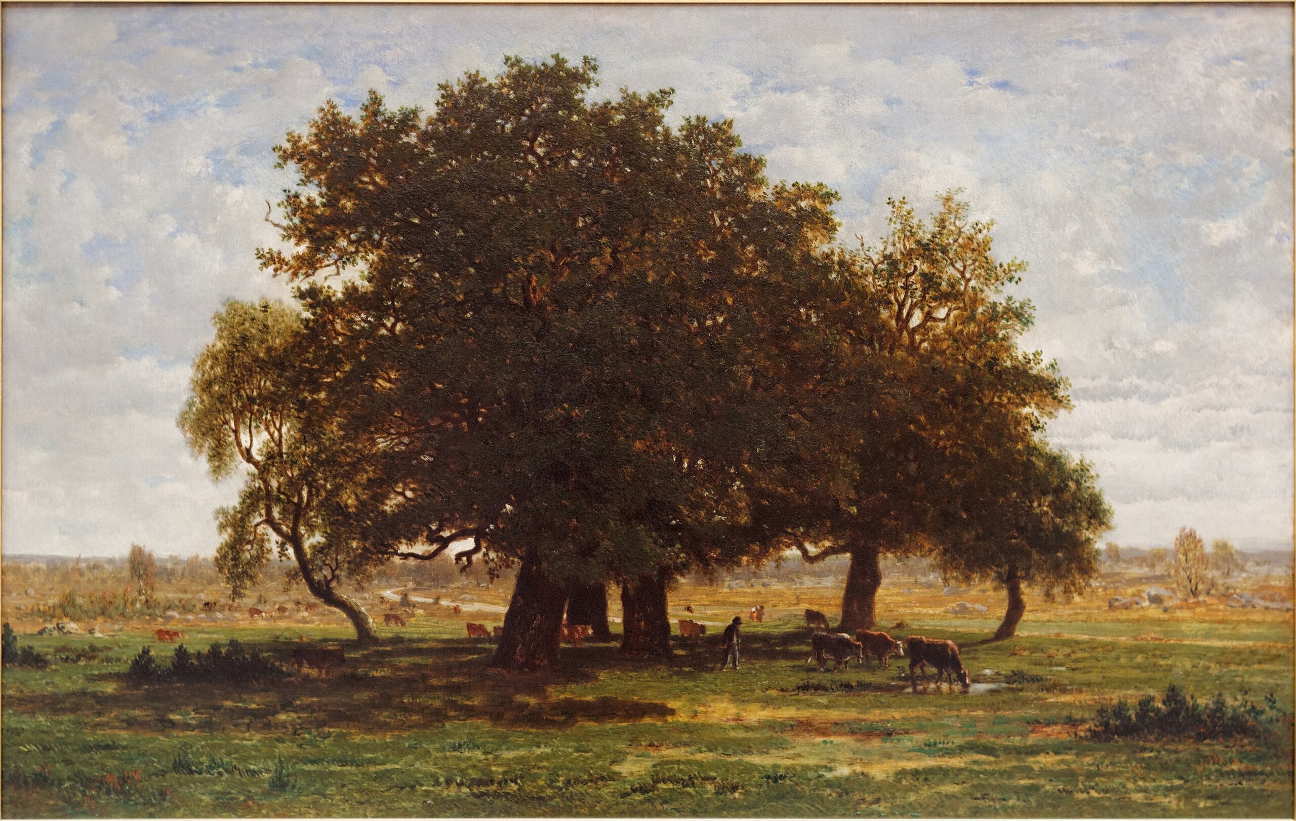 Les Chênes d'Apremont - Théodore Rousseau image 1 copie peinte à la main à l’huile