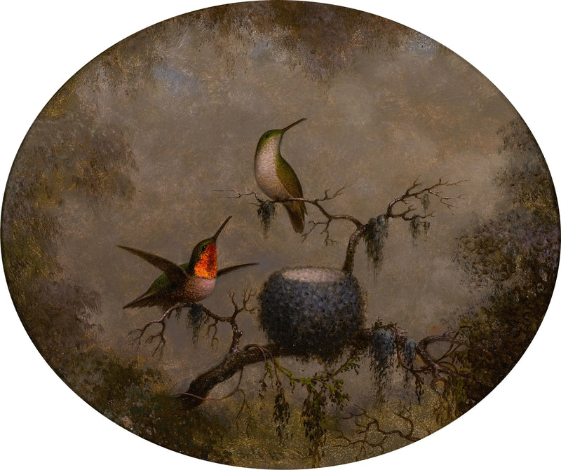 Die Kolibris und ihr Nest - Martin Johnson Heade