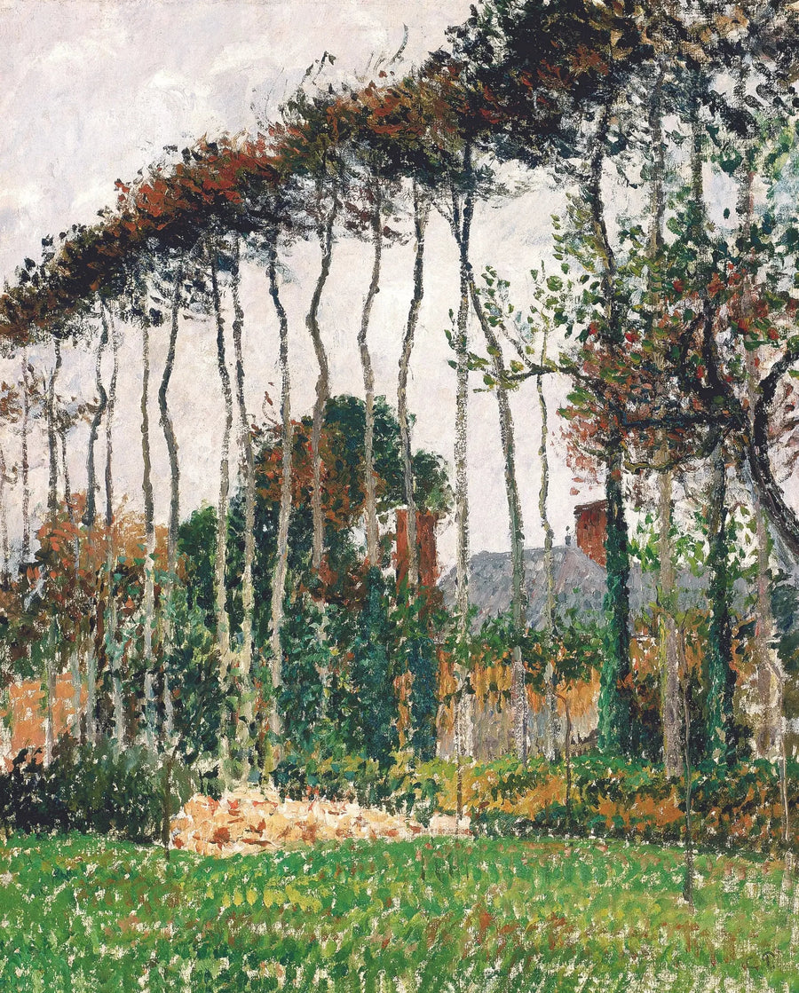 Die großen Buchen in Varengeville - Camille Pissarro