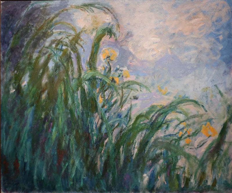 Die gelben Iris - Claude Monet
