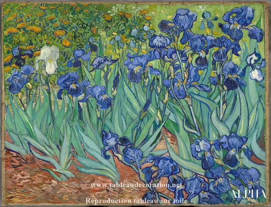 Les Iris - Van Gogh - Reproductions de tableaux et peintures haut de gamme