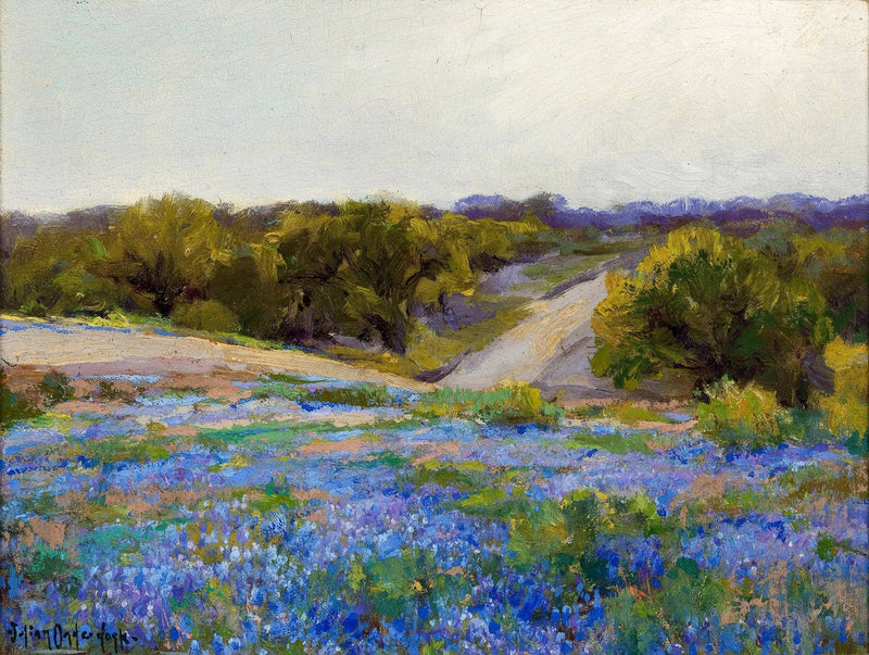 Blaue Lupinen am späten Nachmittag - Julian Onderdonk