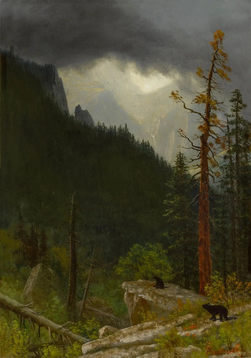 Die Rocky Mountains nach einem Sturm - Albert Bierstadt