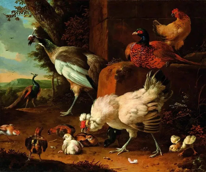 Die Hausgeflügel mit einem Fasan und Pfauen. - Melchior de Hondecoeter