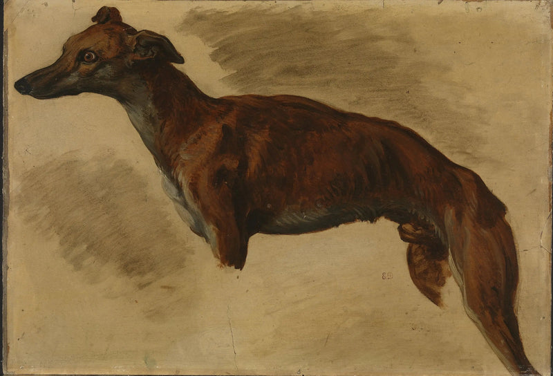 Windhund - Eugène Delacroix