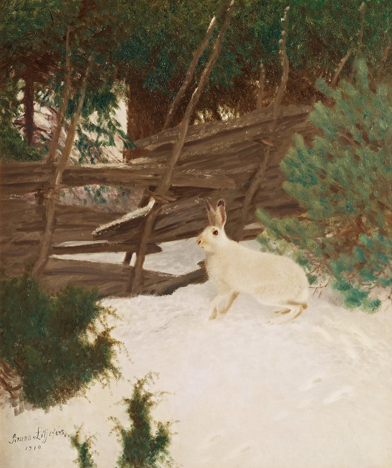 Winterhase - Bruno Liljefors