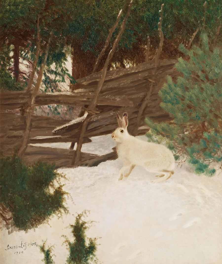 Winterhase - Bruno Liljefors