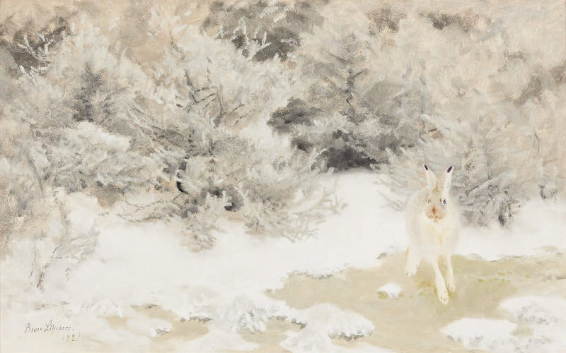 Winterhase - Bruno Liljefors
