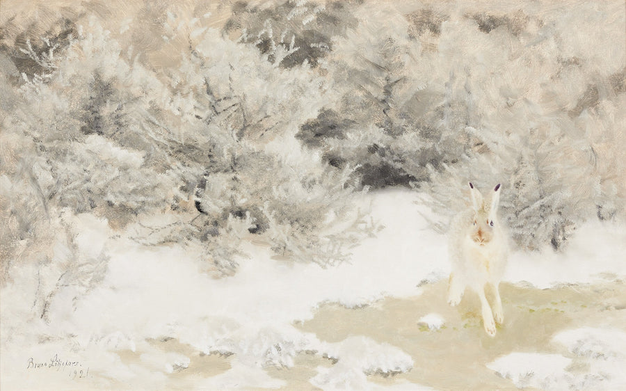 Winterhase - Bruno Liljefors