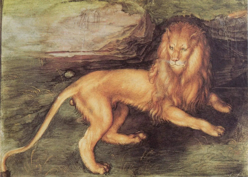 Löwe - Albrecht Dürer