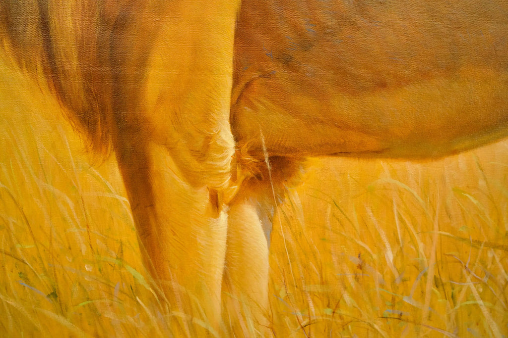 Lion dans la savane | 150 x 100 cm image 6 copie peinte à la main à l’huile