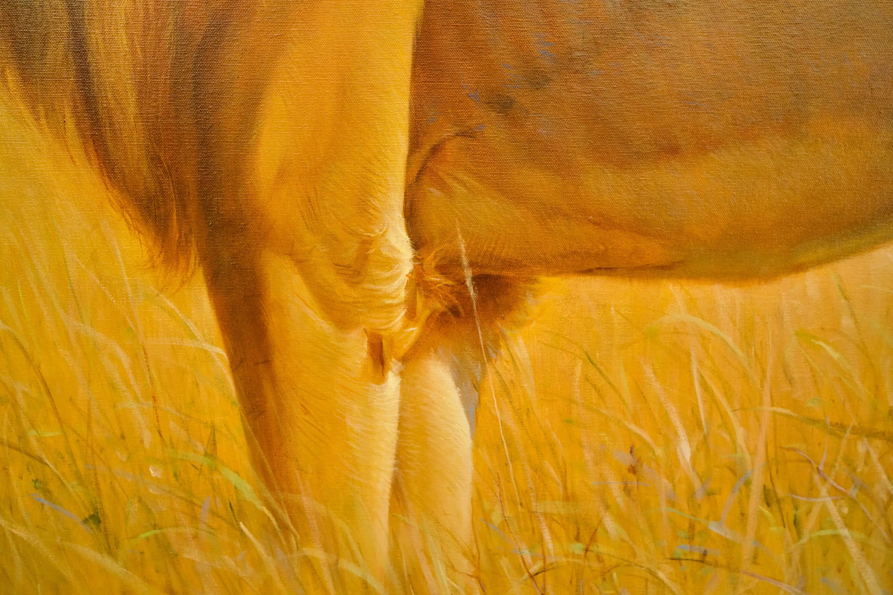 Lion dans la savane | 150 x 100 cm Reproductions de tableaux à la peinture à l’huile