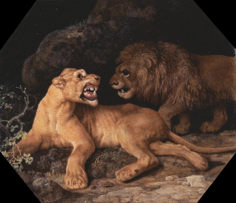 Löwe und Löwin - George Stubbs