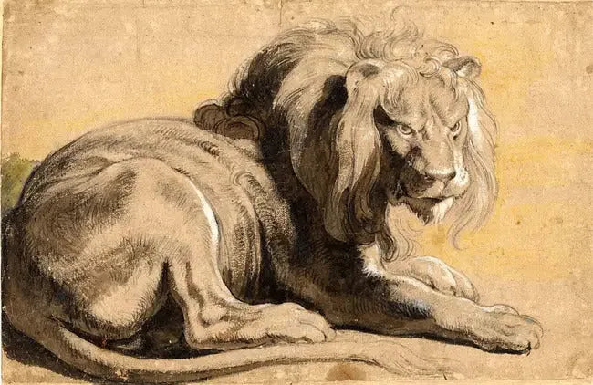 Löwe - Peter Paul Rubens