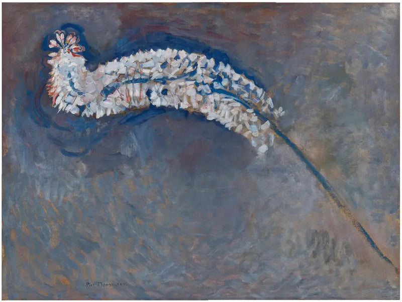Fuchsschwanzlilie - Piet Mondrian