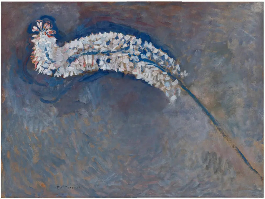 Fuchsschwanzlilie - Piet Mondrian