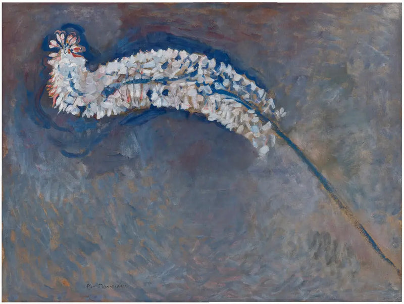 Fuchsschwanzlilie - Piet Mondrian