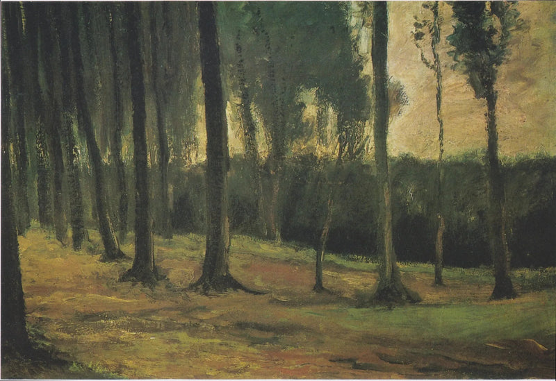 Waldrand - Vincent van Gogh