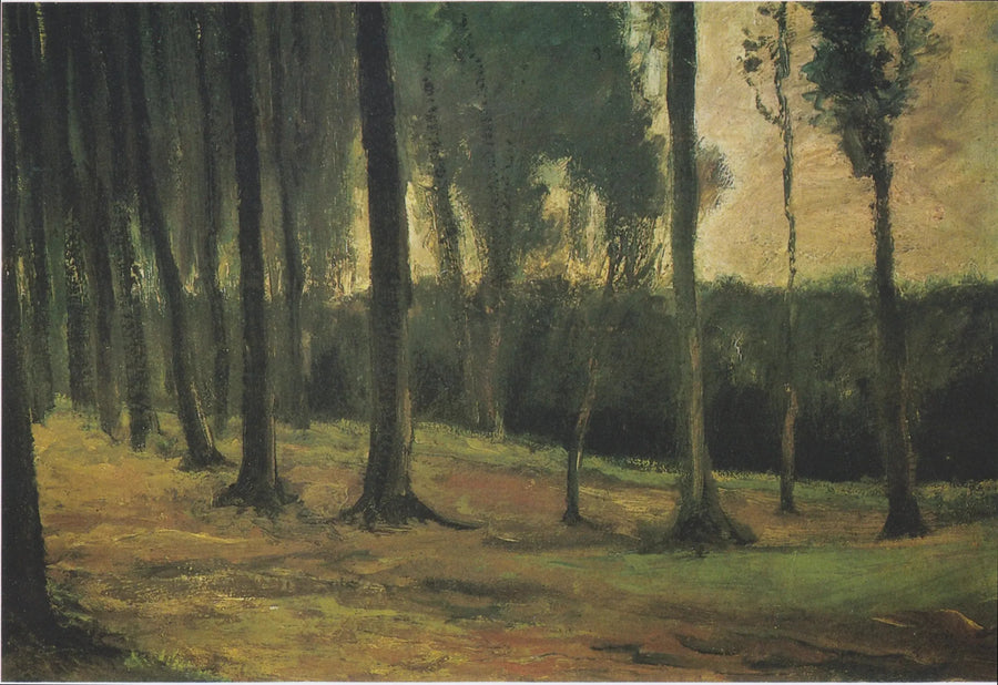 Waldrand - Vincent van Gogh