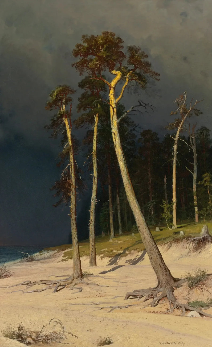 Sandküste - Ivan Chichkine