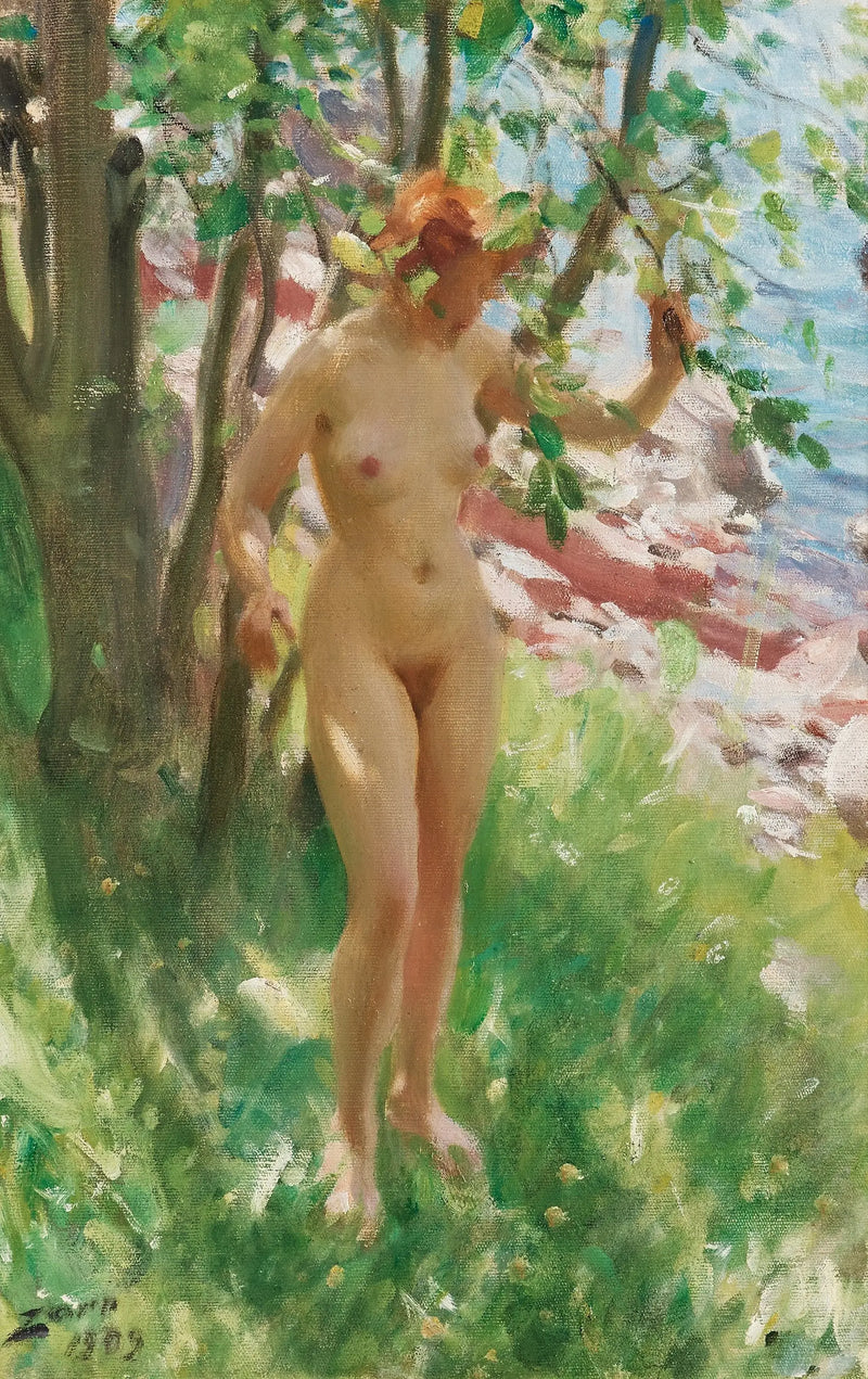 Der Schatten - Anders Zorn