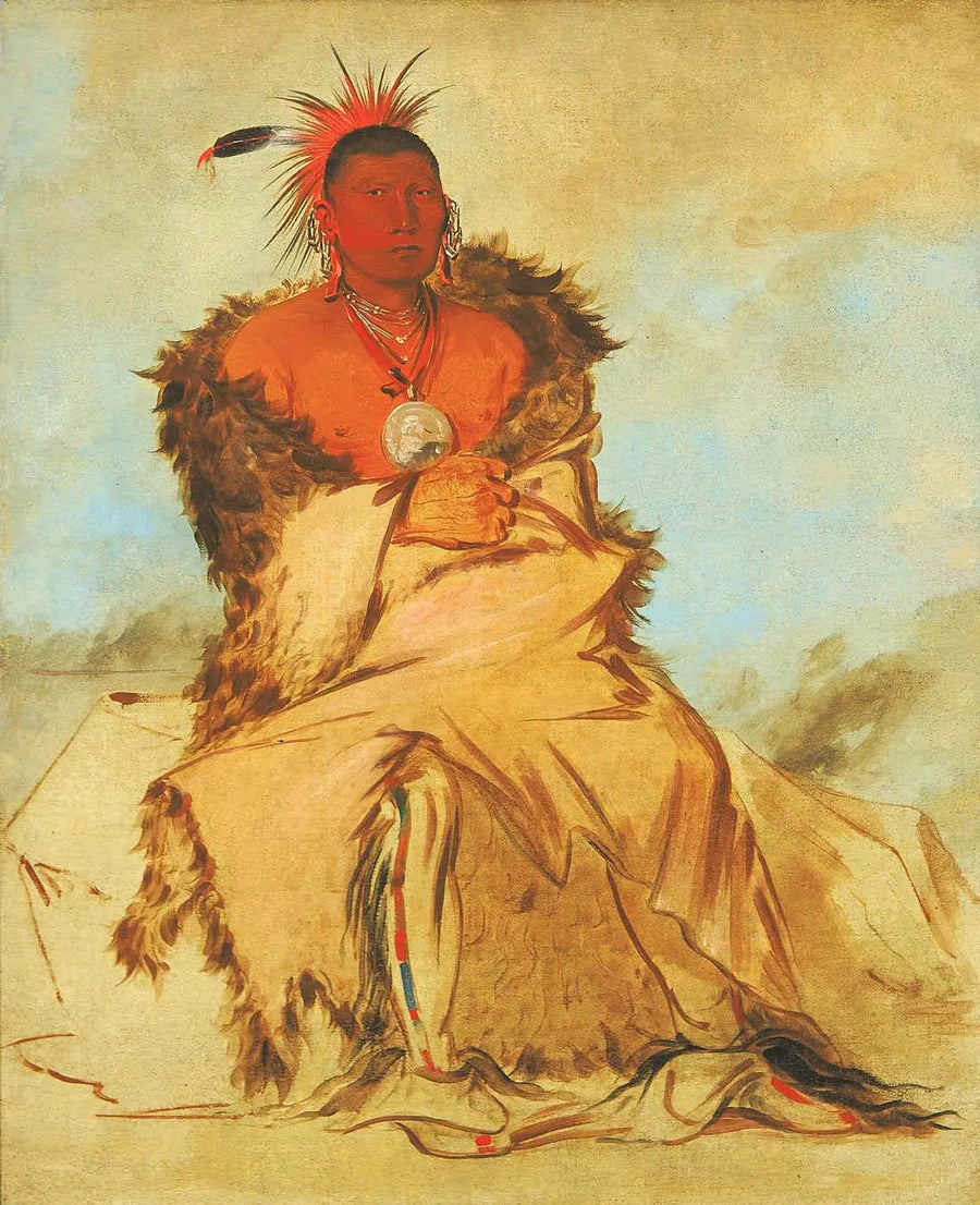 Loo-rá-wée-re-coo, Vogel, der in den Krieg zieht, ein Pawnee-Lärm - George Catlin