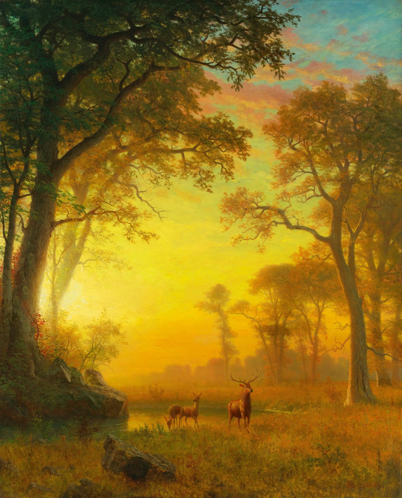 Licht im Wald - Albert Bierstadt