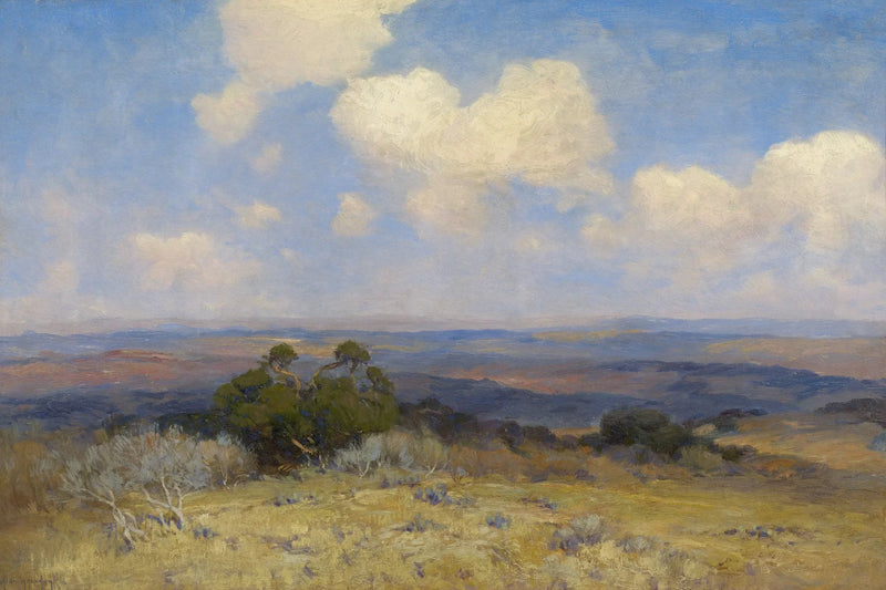 Sonnenlicht und Schatten – Julian Onderdonk