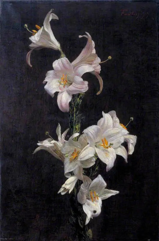Weiße Lys - Henri Fantin-Latour