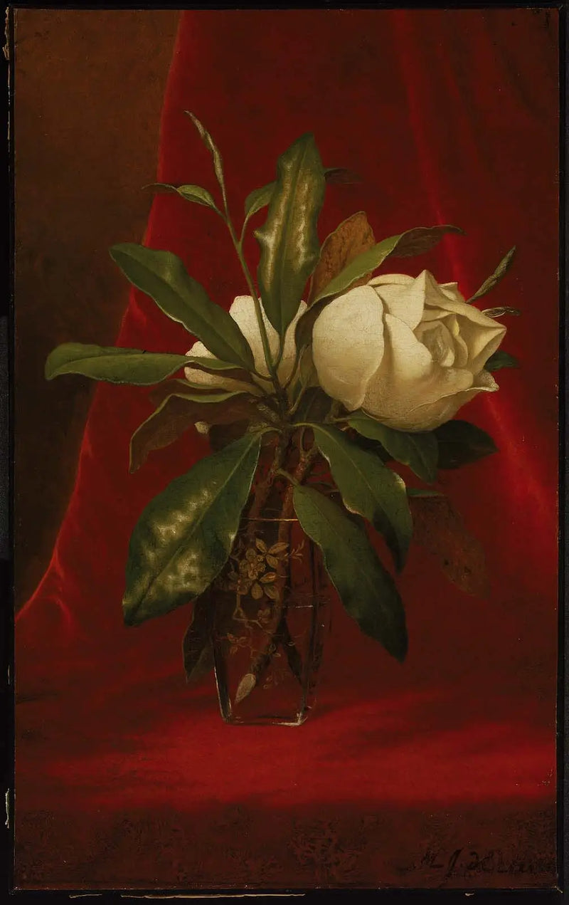 Magnolien - Martin Johnson Heade