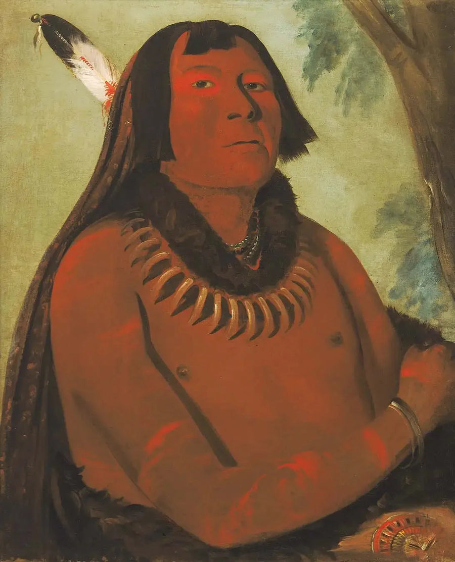 Mah-táhp-ta-a, stürzt in die Mitte, ein tapferer - George Catlin
