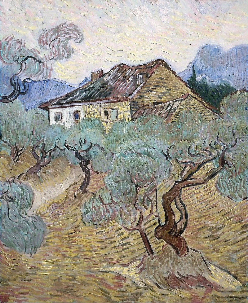 Das weiße Haus zwischen den Olivenbäumen - Vincent van Gogh