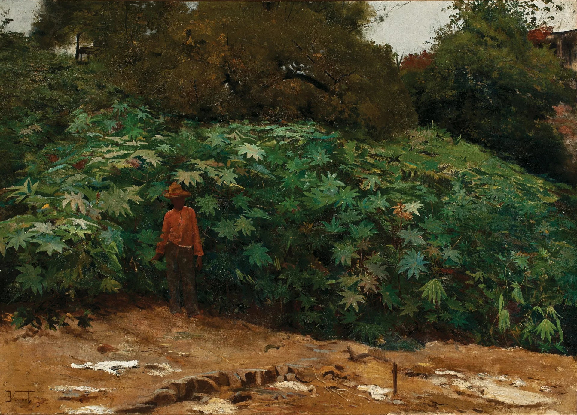 Mamoneiras - Morro de São Bento - Eliseu Visconti image 1 reproduction réalisée par Alpha Reproduction