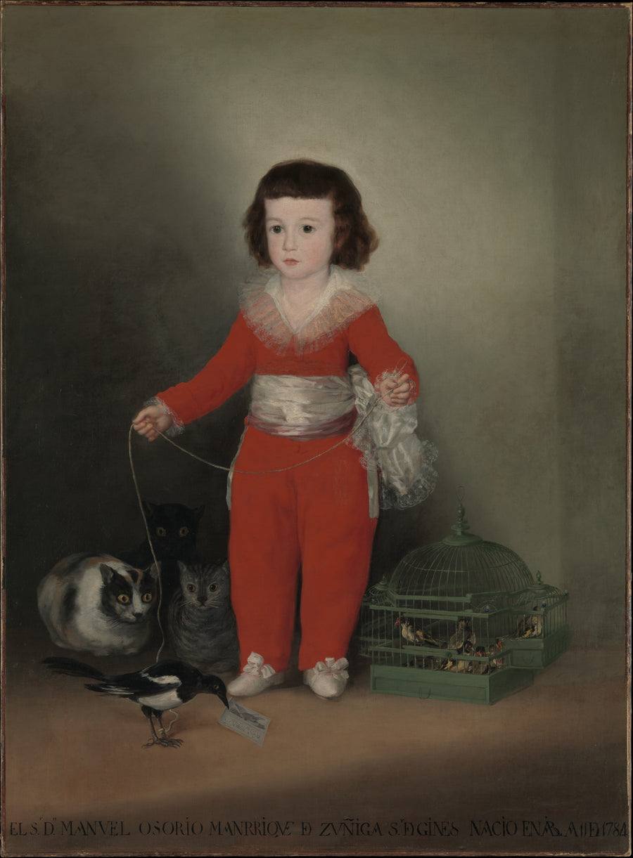 Manuel Osorio Manrique de Zúñiga - Goya