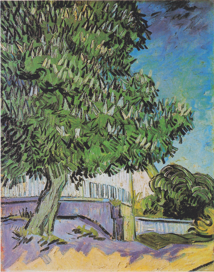 Blühende Kastanienbäume - Vincent van Gogh