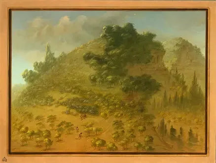 Rhododendron-Berg - George Catlin
