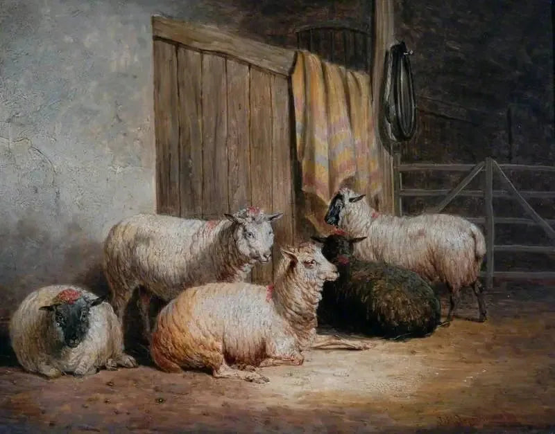 Schaf - John Frederick Herring, Sr.