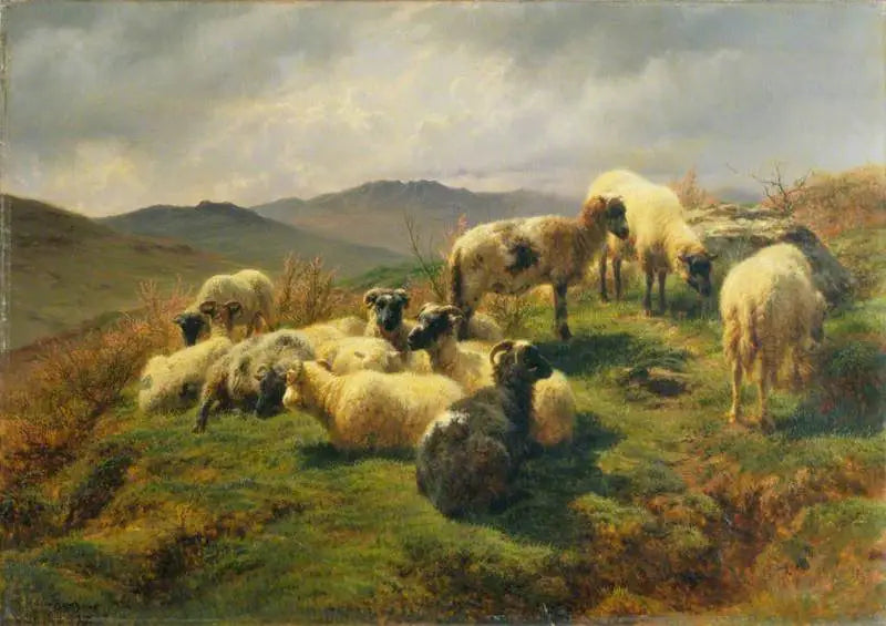 Schafe in den Highlands - Rosa Bonheur