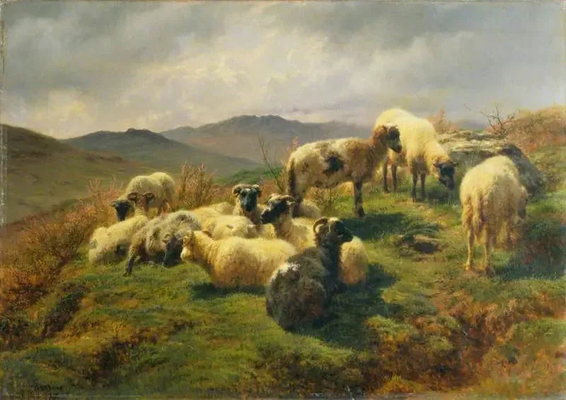 Schafe in den Highlands - Rosa Bonheur