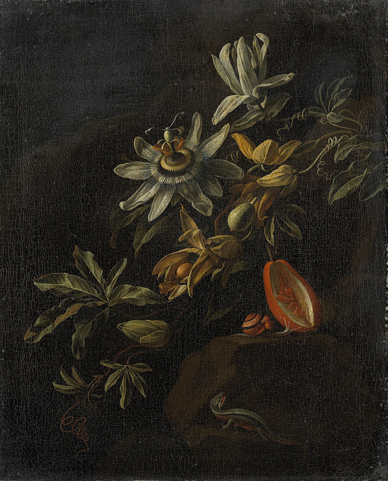 Nature morte aux fleurs de la passion. - Elias van den Broeck