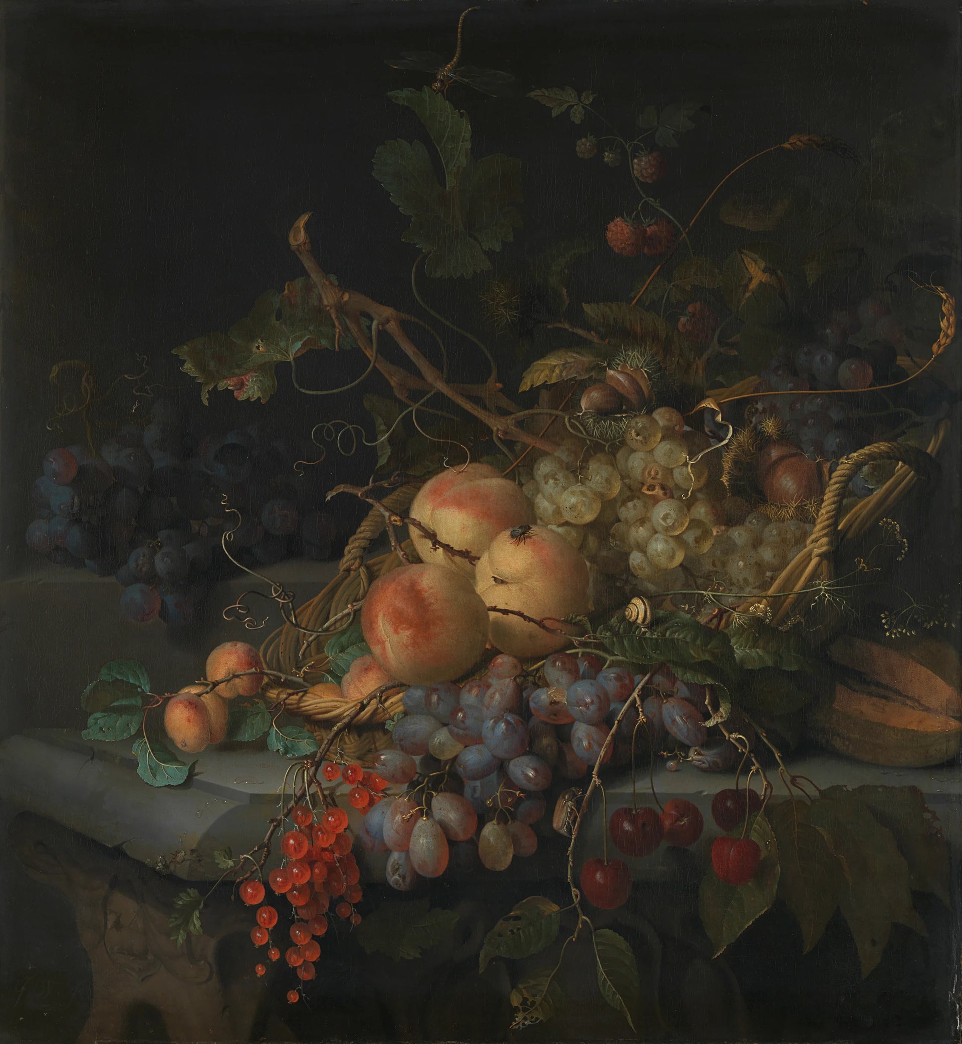 Nature morte aux fruits - Jacob van Walscapelle