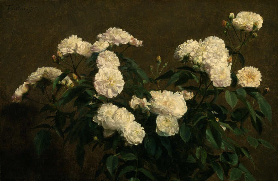 Stillleben mit weißen Rosen - Henri Fantin-Latour