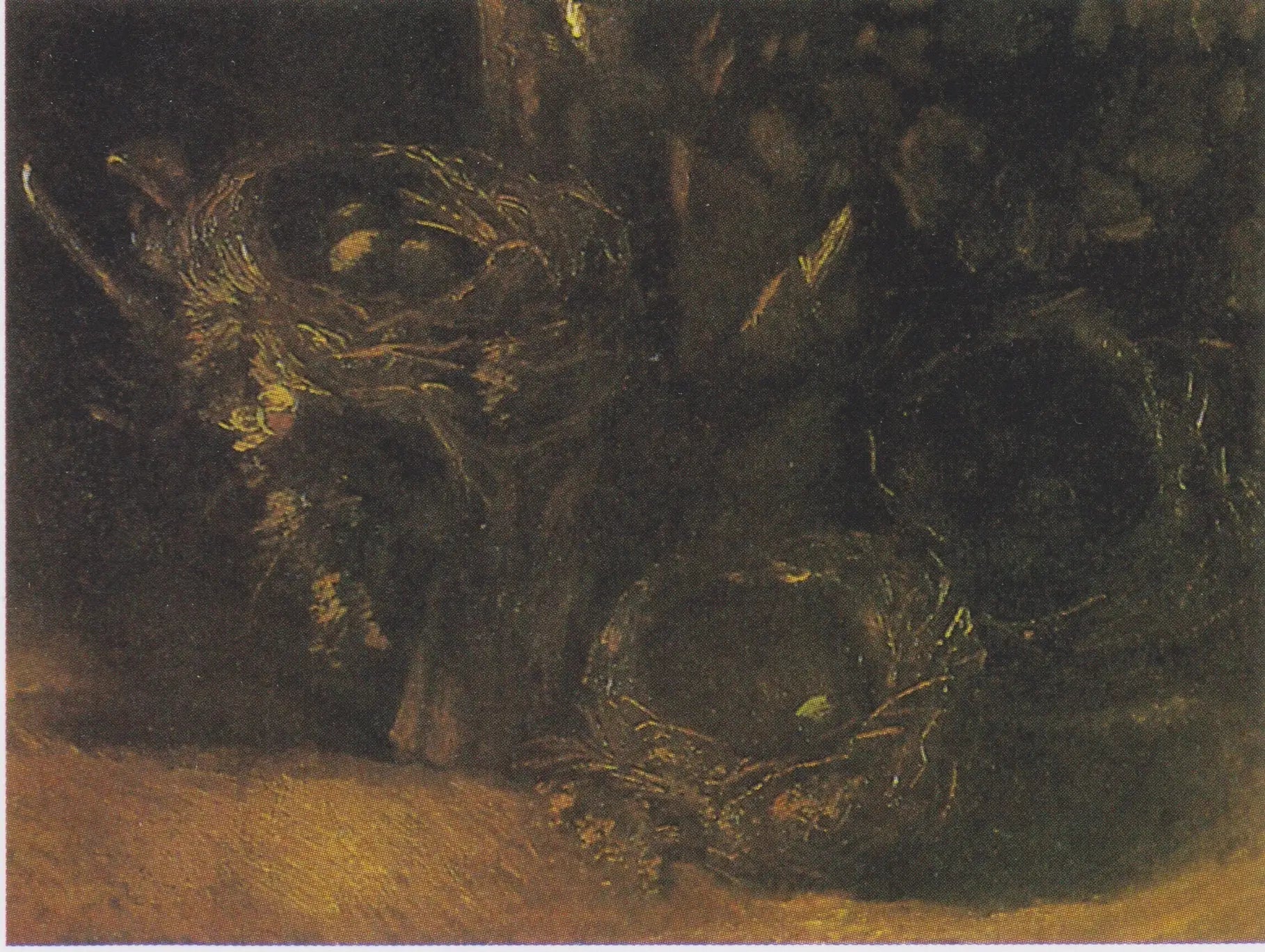 Nature morte aux trois nids d'oiseaux - Vincent van Gogh image 1 reproduction de peinture à l’huile