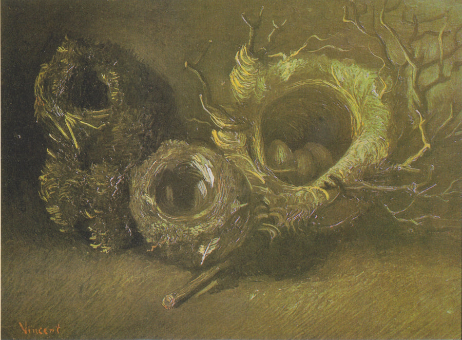 Stillleben mit drei Vogelnestern - Vincent van Gogh