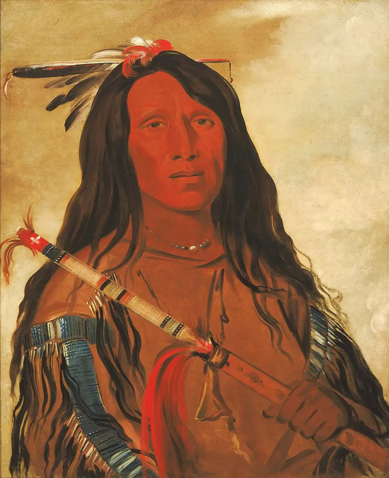 Né-hee-ó-ee-wóo-tis, Wolf auf dem Hügel, Häuptling des Stammes - George Catlin